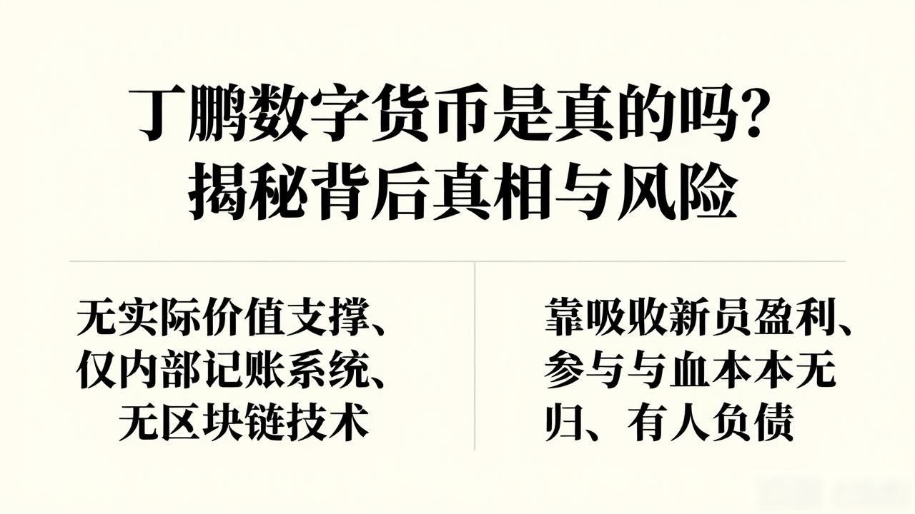 丁鹏数字货币是真的吗？揭秘背后真相与风险